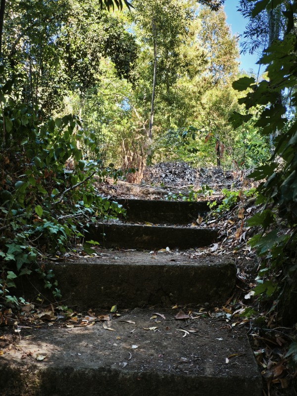 Parcela 2.8 Hectáreas Entrada Rari Con Agua Potable