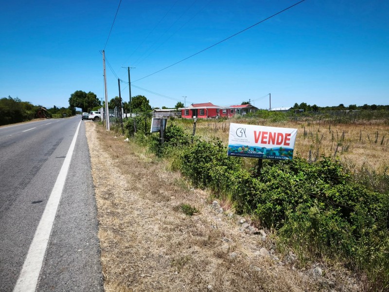 Se Vende 1.5 Hectáreas A Orilla de Camino en Longavi