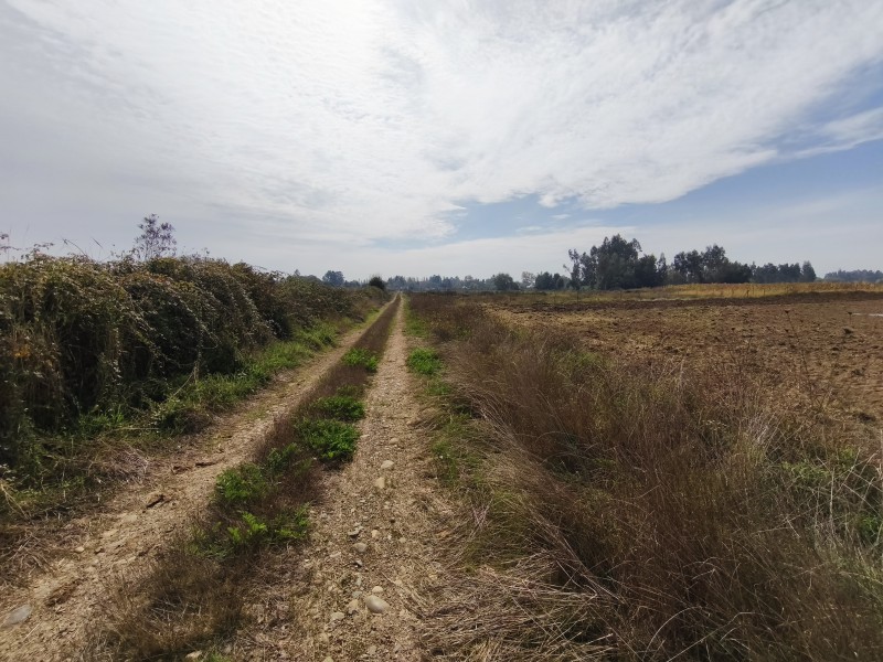 Se Vende Parcela de 2.5 Hectáreas Planas en Yerbas Buenas