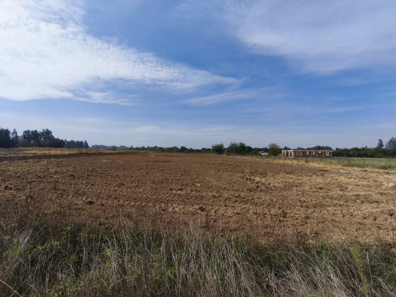 Se Vende Parcela de 2.5 Hectáreas Planas en Yerbas Buenas