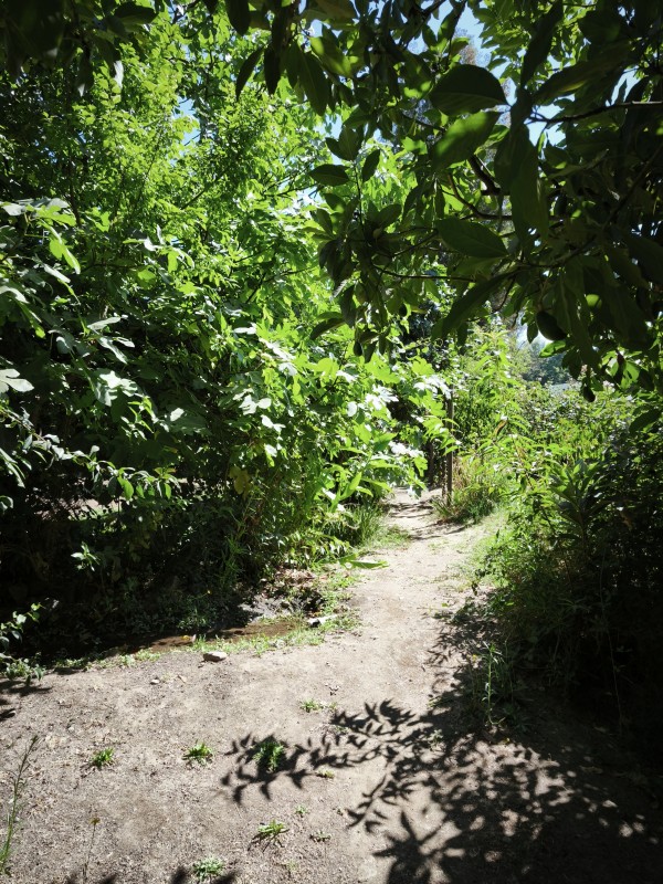 Parcela 2.8 Hectáreas Entrada Rari Con Agua Potable