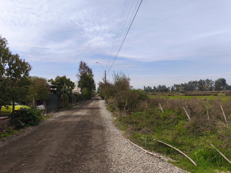 Se Vende Parcela de 2.5 Hectáreas Planas en Yerbas Buenas