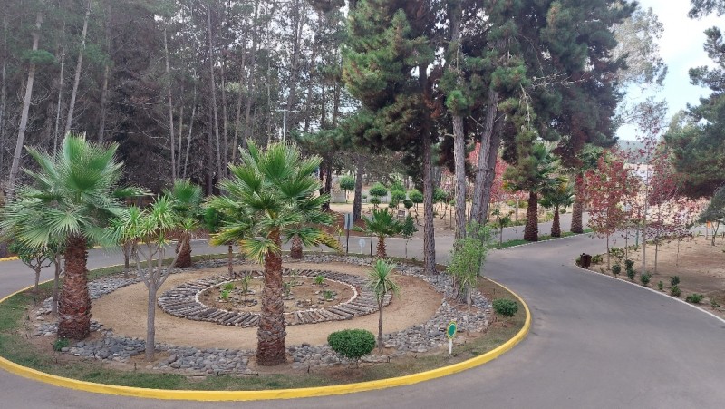 Departamento Condominio Alto las Cruces Piso Dos