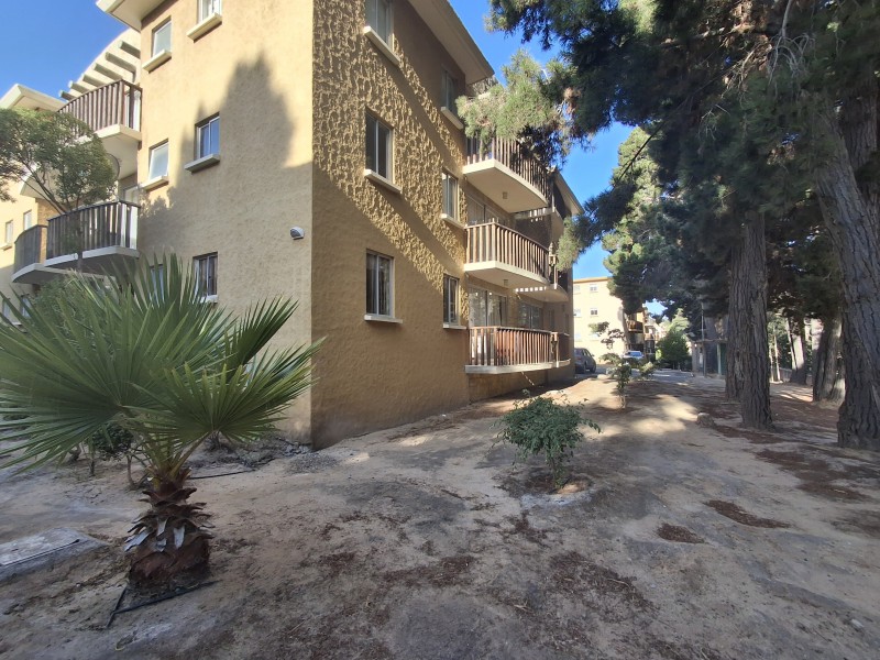 Alto las Cruces, Primer Piso, 3D 2B 1E Consulte