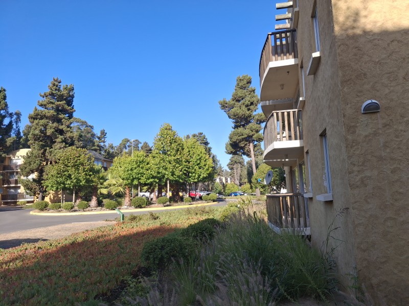 Alto las Cruces, Primer Piso, 3D 2B 1E Consulte