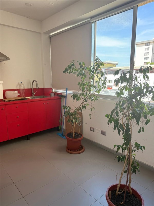 Se Vende Amplio Piso Comercial 239 M2 Viña del Mar