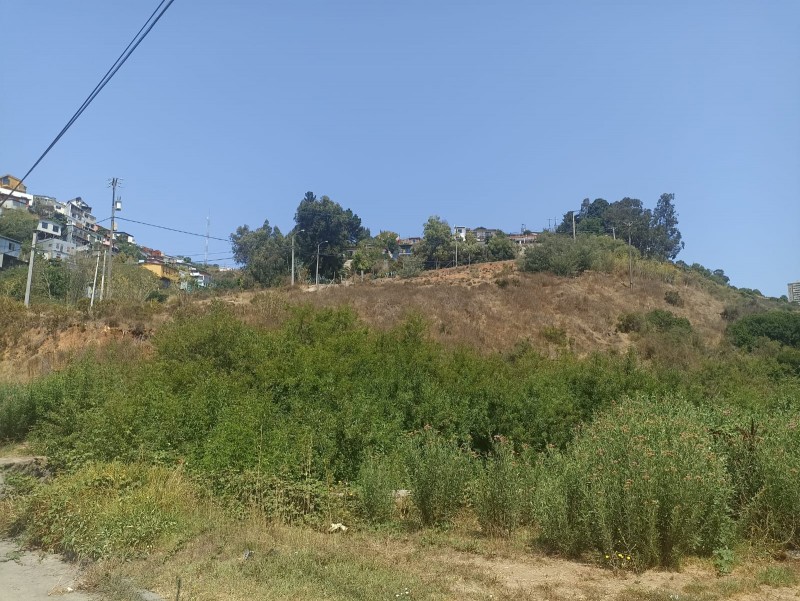 Se Vende Terreno Habitacional en Recreo Alto Viña del Mar