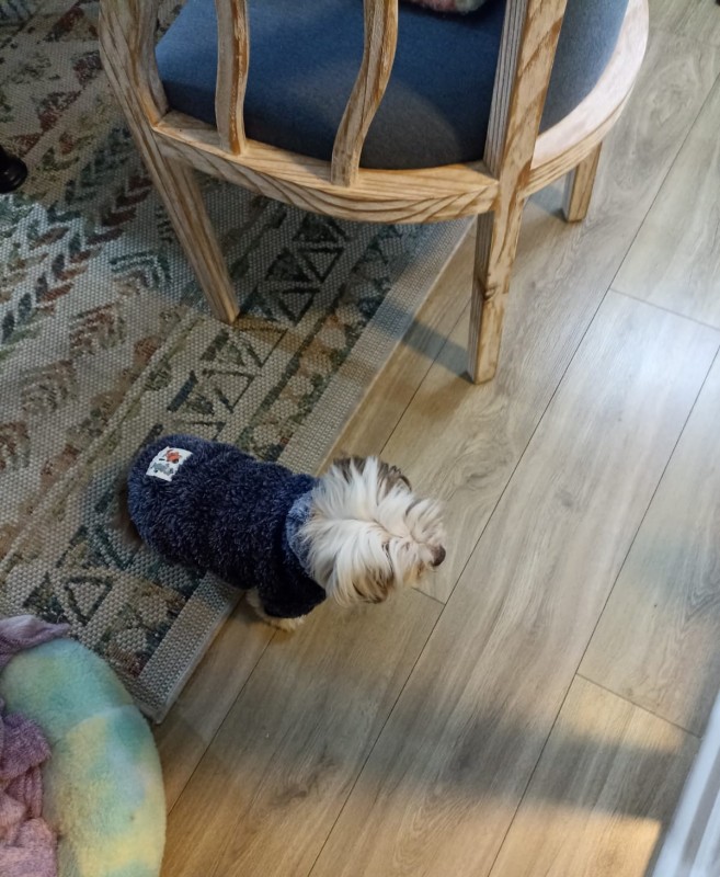 Se Vende Departamento Sector Recreo R. Pienovi Viña del Mar