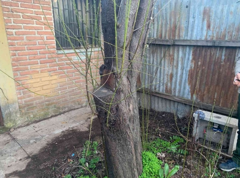 en Venta Casa en San Miguel del Piduco
