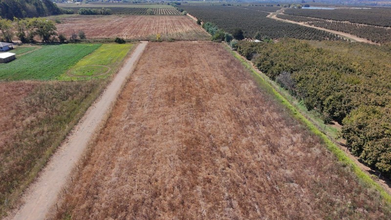 Se Vende Parcela en Pelarco de 5.000 M2