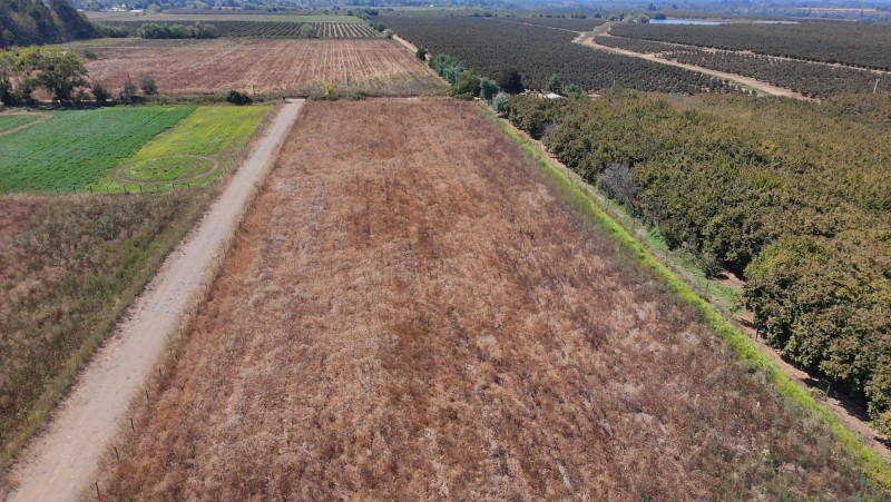 Fotografía de Se Vende Parcela en Pelarco de 5.000 M2