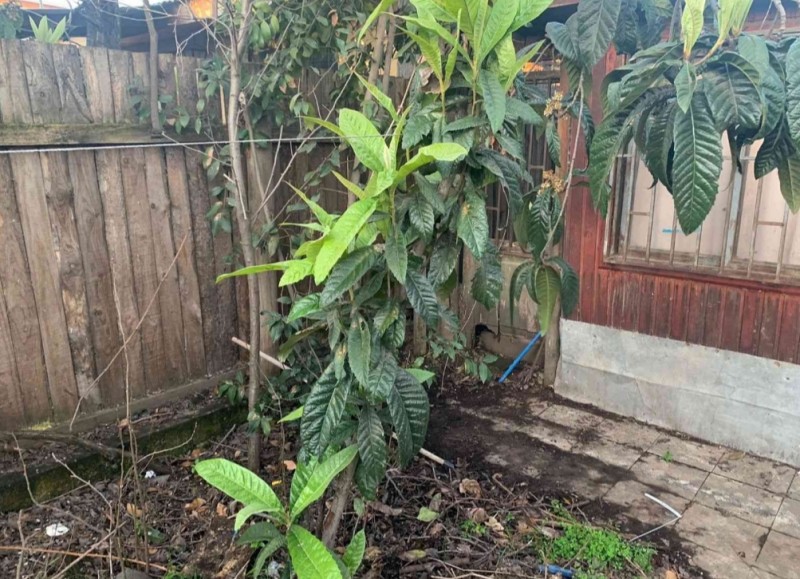 en Venta Casa en San Miguel del Piduco