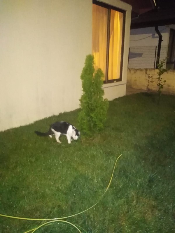 Se Vende Amplia Casa en Villa Magisterio