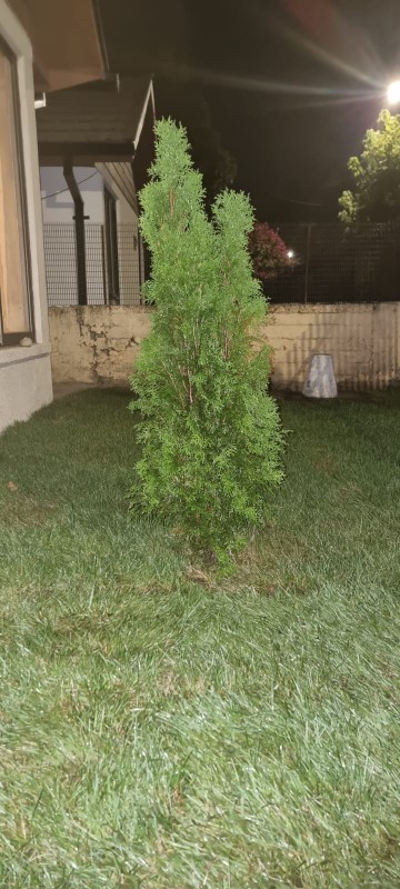 Se Vende Amplia Casa en Villa Magisterio