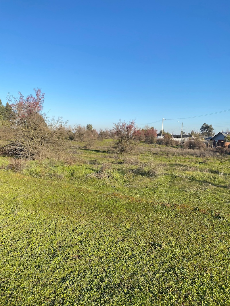 Se Vende Hermosa Parcela en los Robles, Cumpeo!!!!