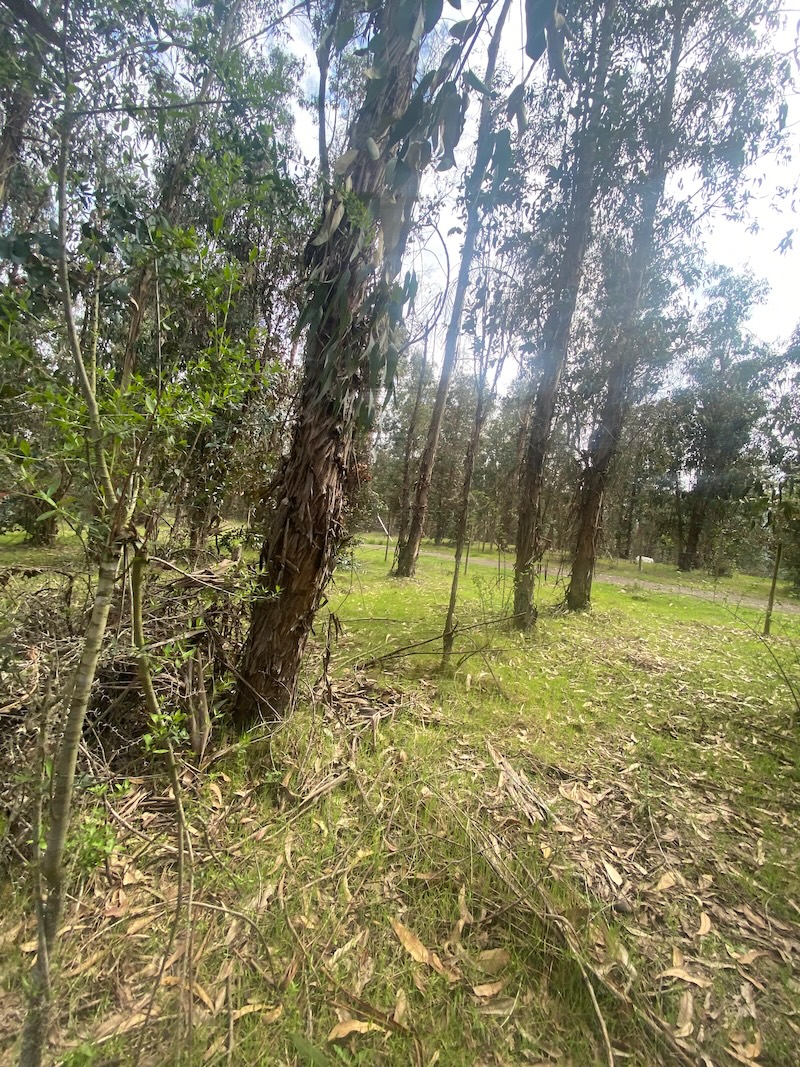 Se Vende Hermosa Parcela en los Boldos Pelarco!!!!