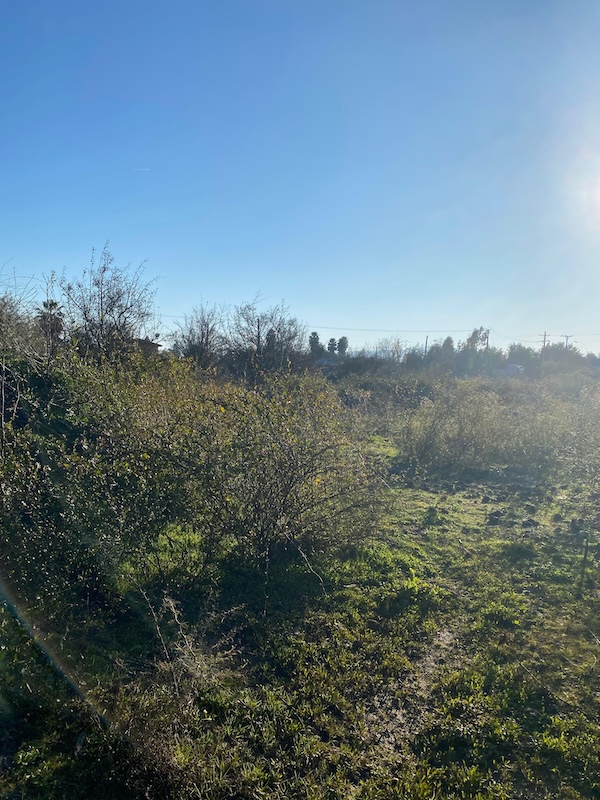 Se Vende Hermosa Parcela en los Robles, Cumpeo!!!!