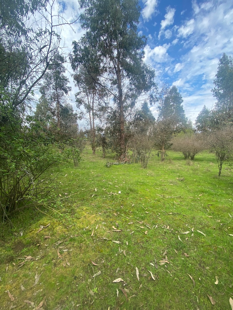 Se Vende Hermosa Parcela en los Boldos Pelarco!!!!