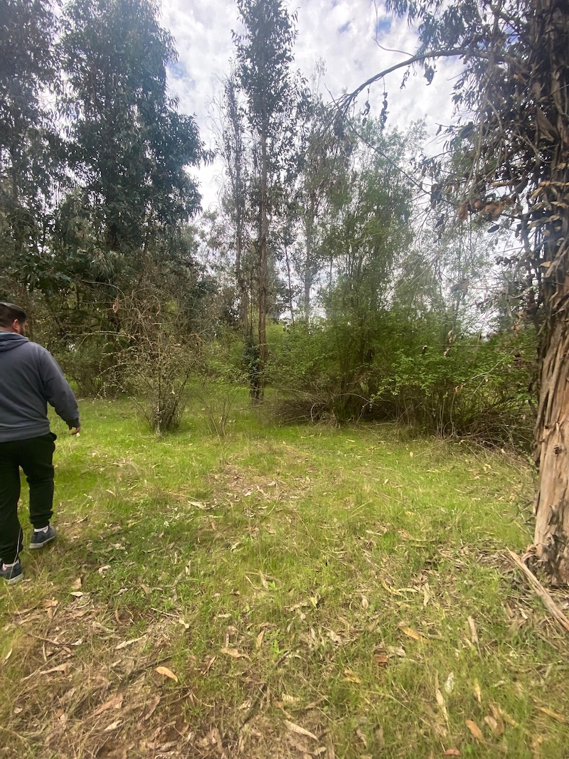 Se Vende Hermosa Parcela en los Boldos Pelarco!!!!