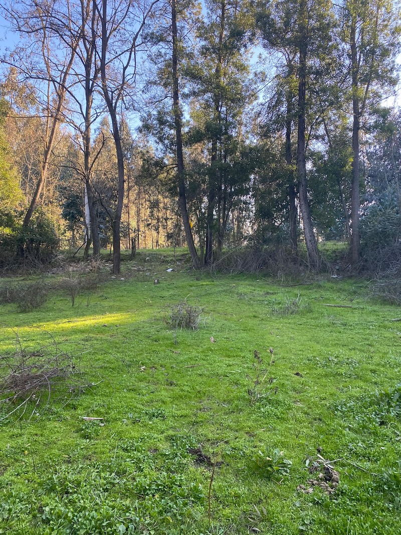 Se Vende Hermosa Parcela en los Robles, Cumpeo!!!!