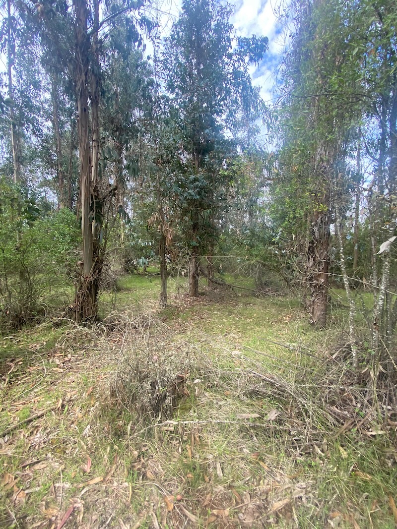 Se Vende Hermosa Parcela en los Boldos Pelarco!!!!