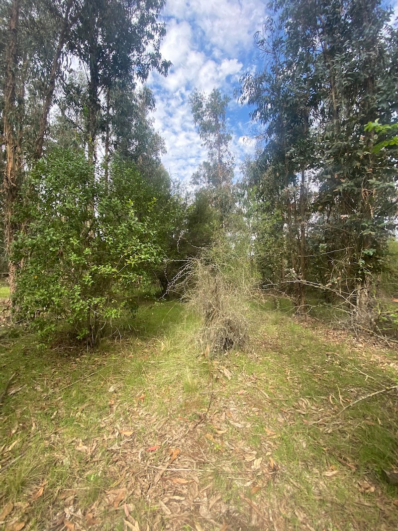 Se Vende Hermosa Parcela en los Boldos Pelarco!!!!