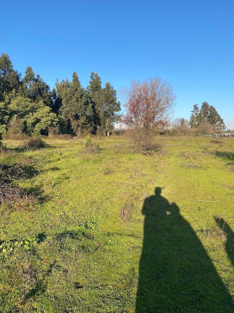 Se Vende Hermosa Parcela en los Robles, Cumpeo!!!!