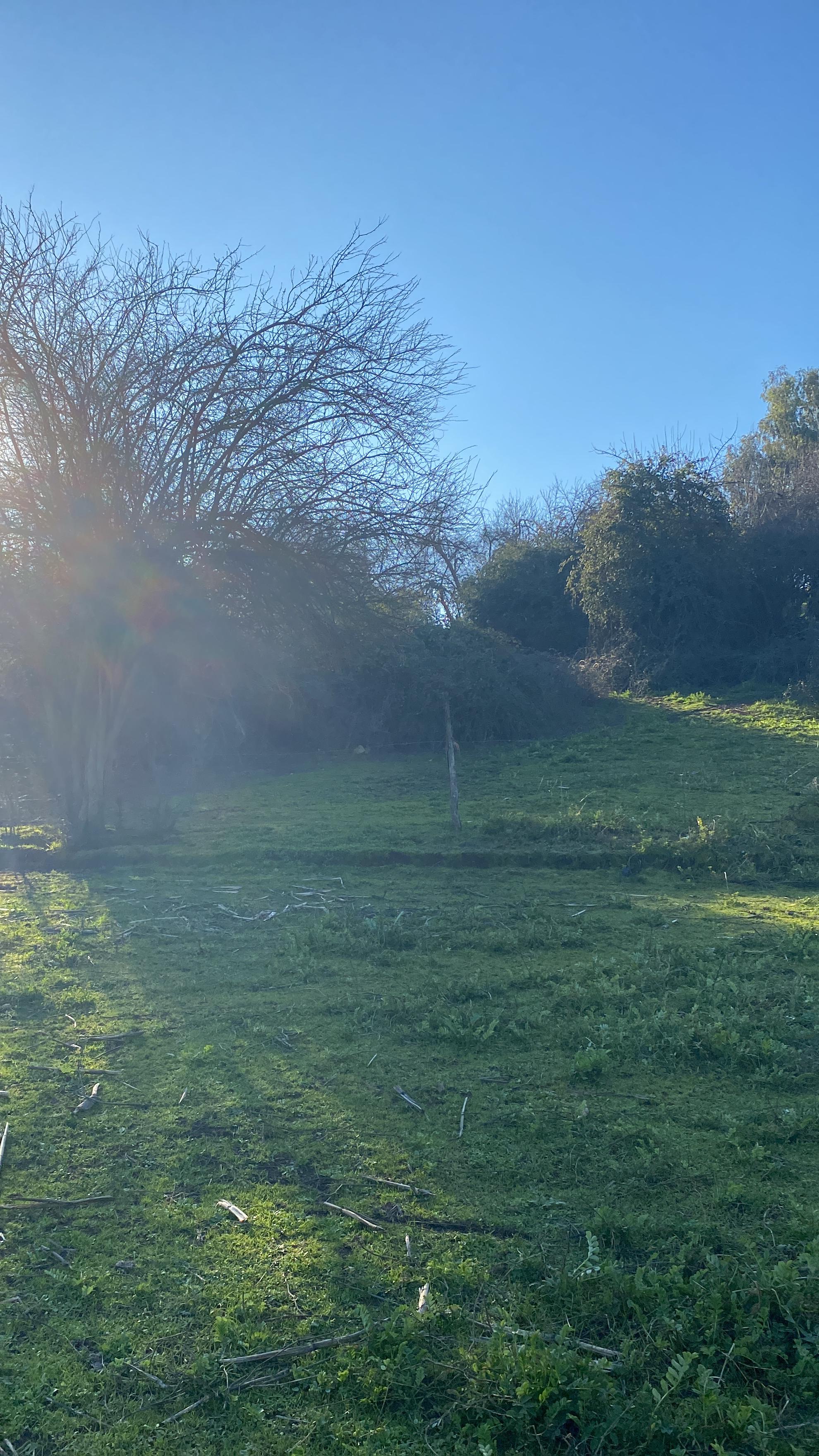 Se Vende Hermosa Parcela en los Robles, Cumpeo!!!!