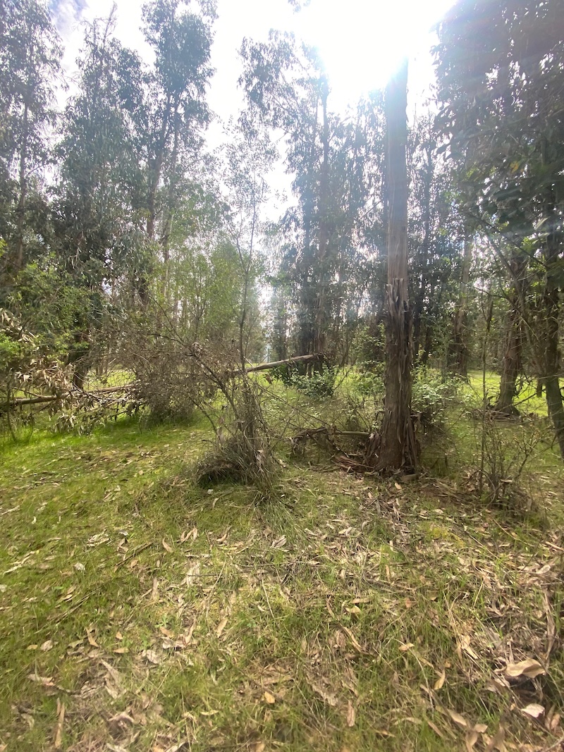 Se Vende Hermosa Parcela en los Boldos Pelarco!!!!