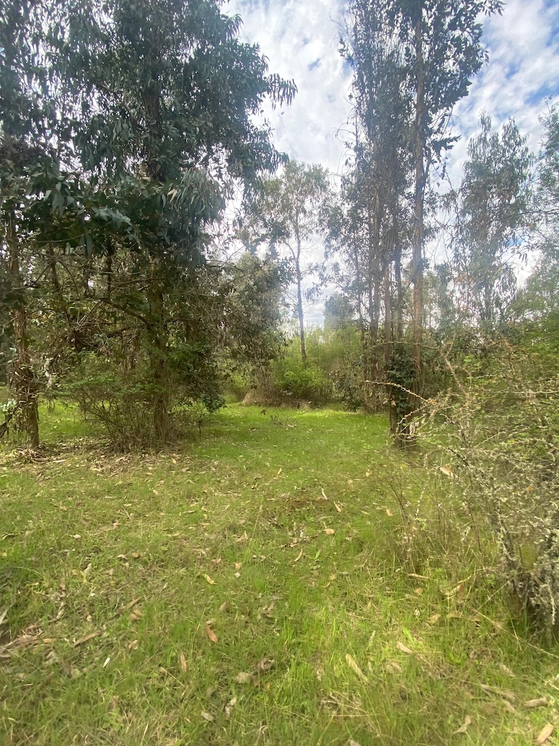 Se Vende Hermosa Parcela en los Boldos Pelarco!!!!