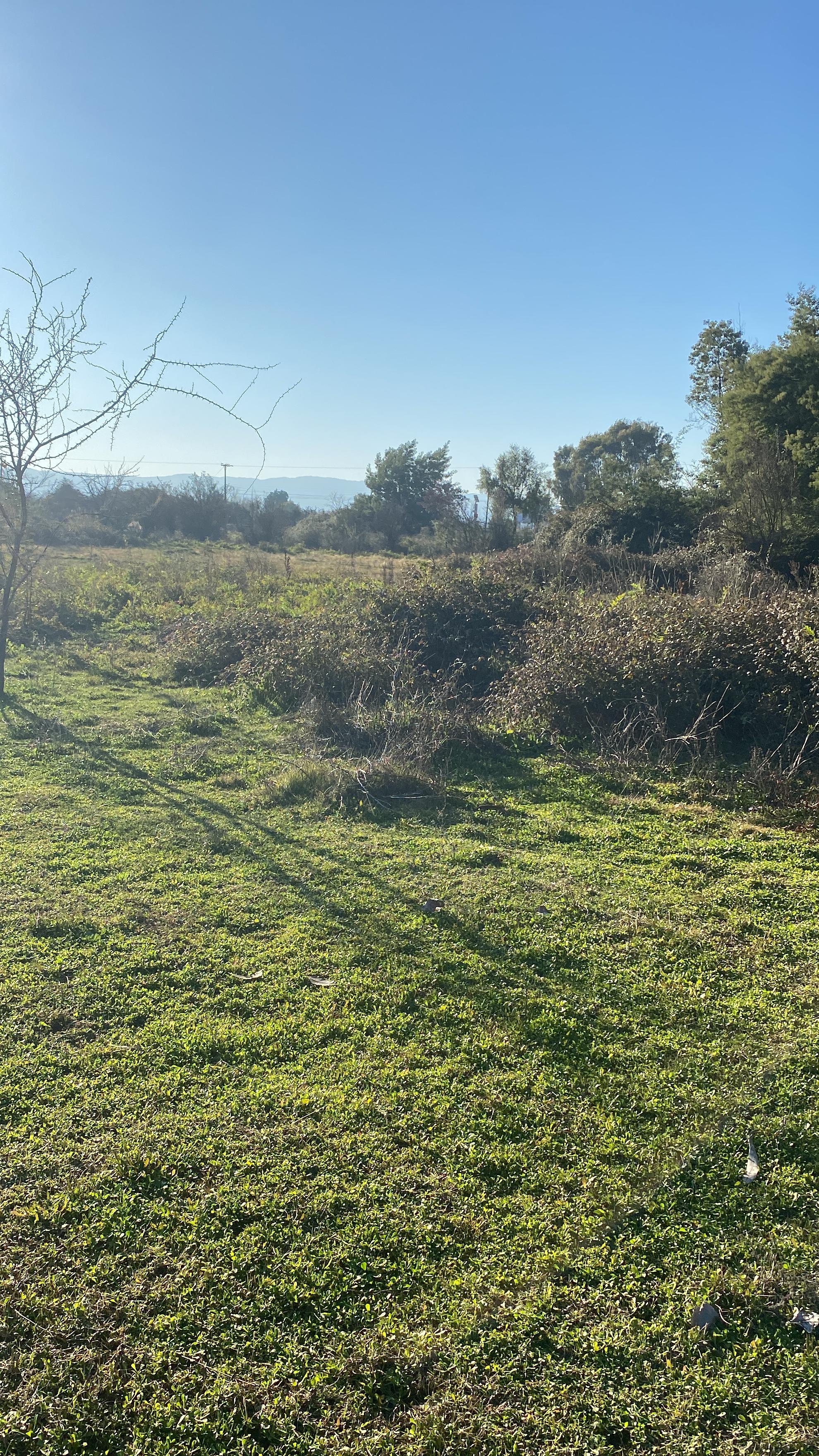 Se Vende Hermosa Parcela en los Robles, Cumpeo!!!!