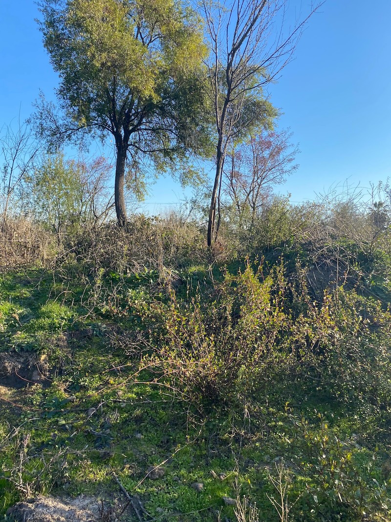 Se Vende Hermosa Parcela en los Robles, Cumpeo!!!!