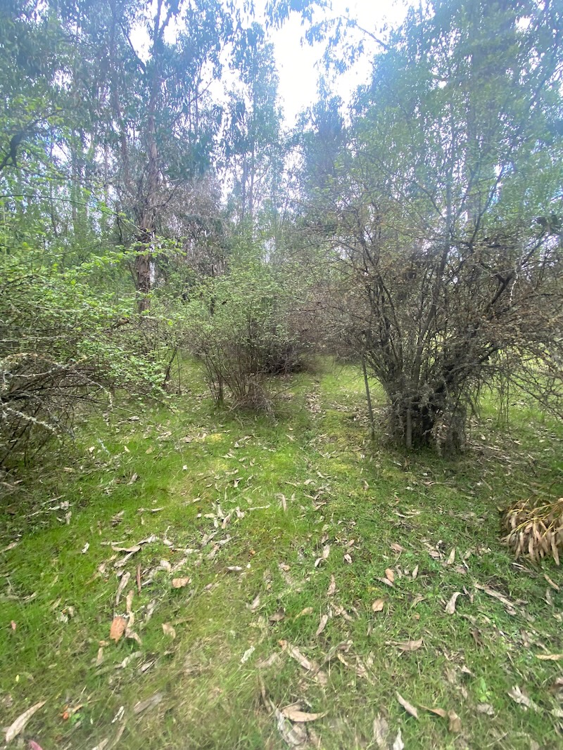 Se Vende Hermosa Parcela en los Boldos Pelarco!!!!