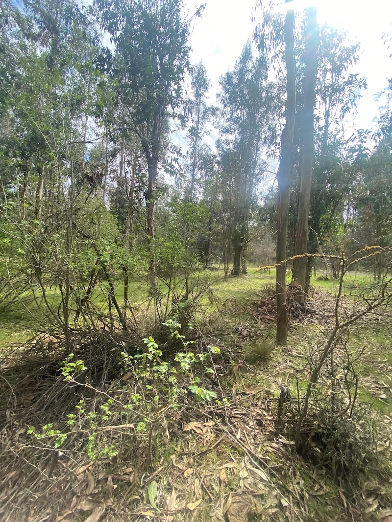 Se Vende Hermosa Parcela en los Boldos Pelarco!!!!