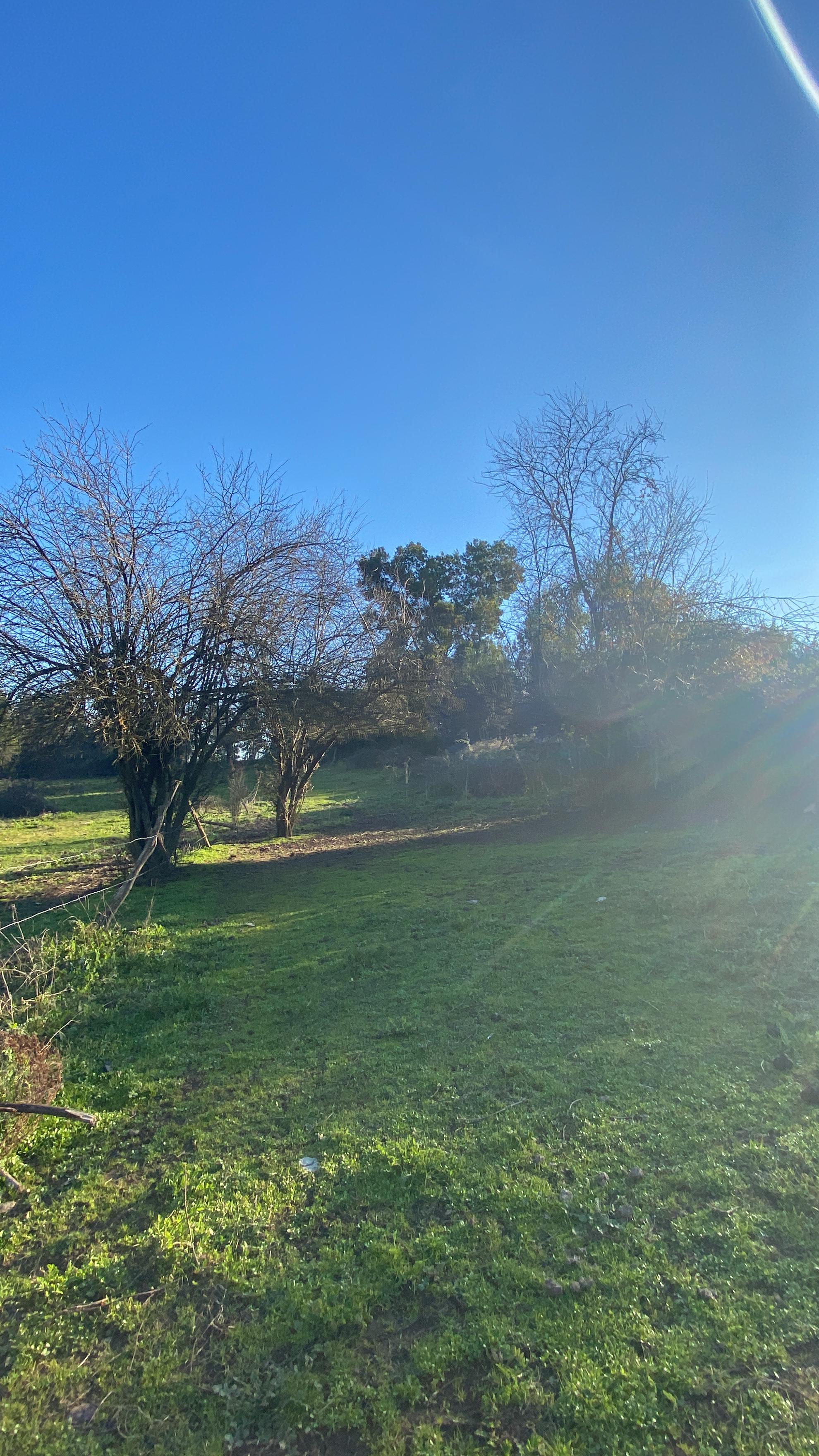 Se Vende Hermosa Parcela en los Robles, Cumpeo!!!!