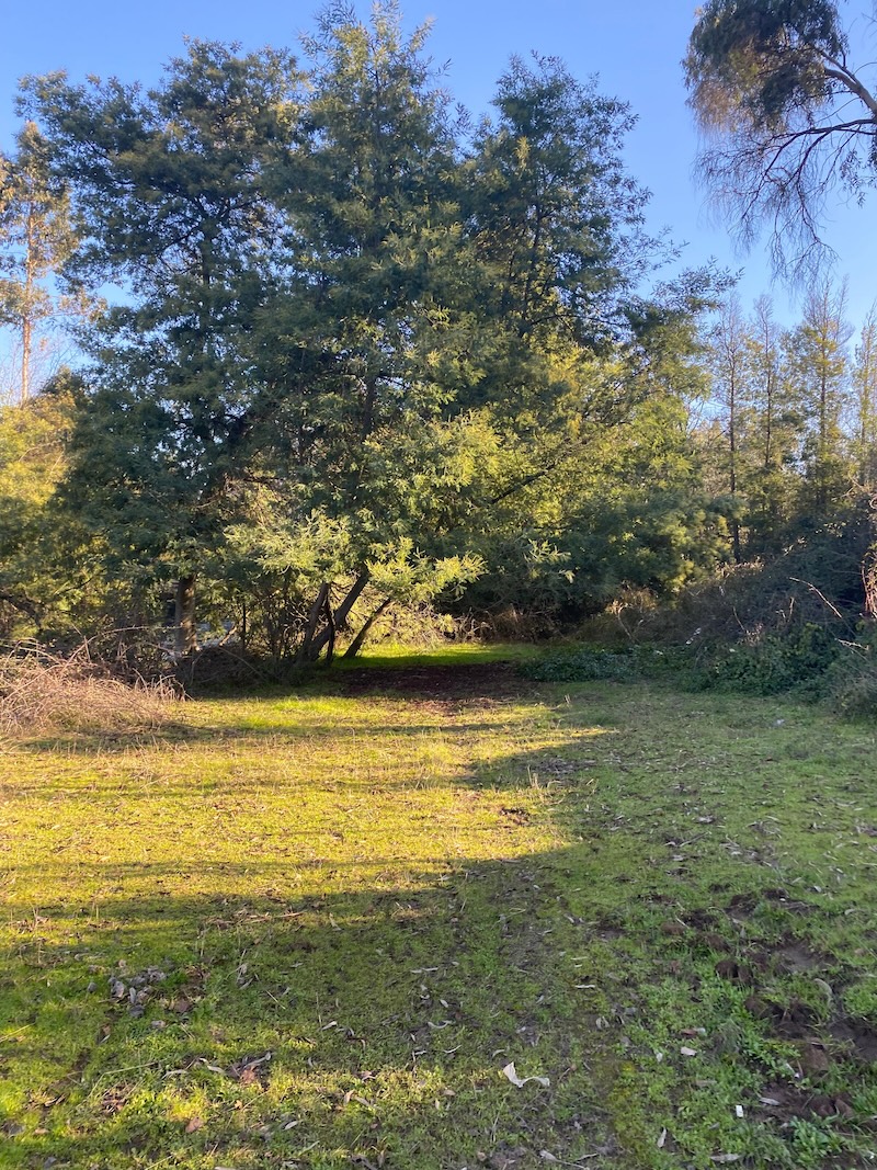 Se Vende Hermosa Parcela en los Robles, Cumpeo!!!!