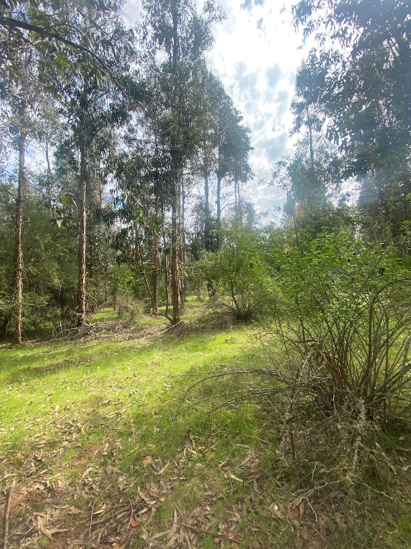 Se Vende Hermosa Parcela en los Boldos Pelarco!!!!