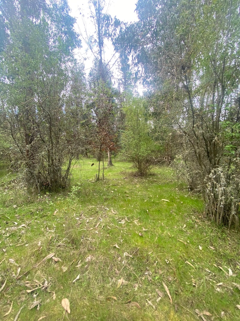 Se Vende Hermosa Parcela en los Boldos Pelarco!!!!