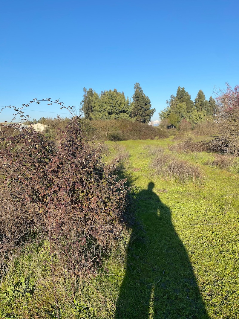 Se Vende Hermosa Parcela en los Robles, Cumpeo!!!!