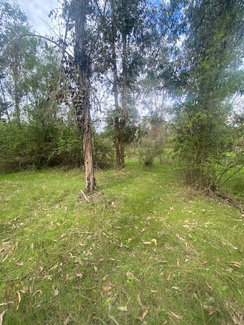 Se Vende Hermosa Parcela en los Boldos Pelarco!!!!