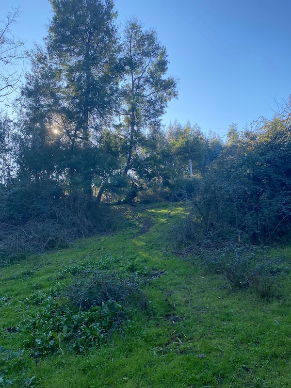 Se Vende Hermosa Parcela en los Robles, Cumpeo!!!!