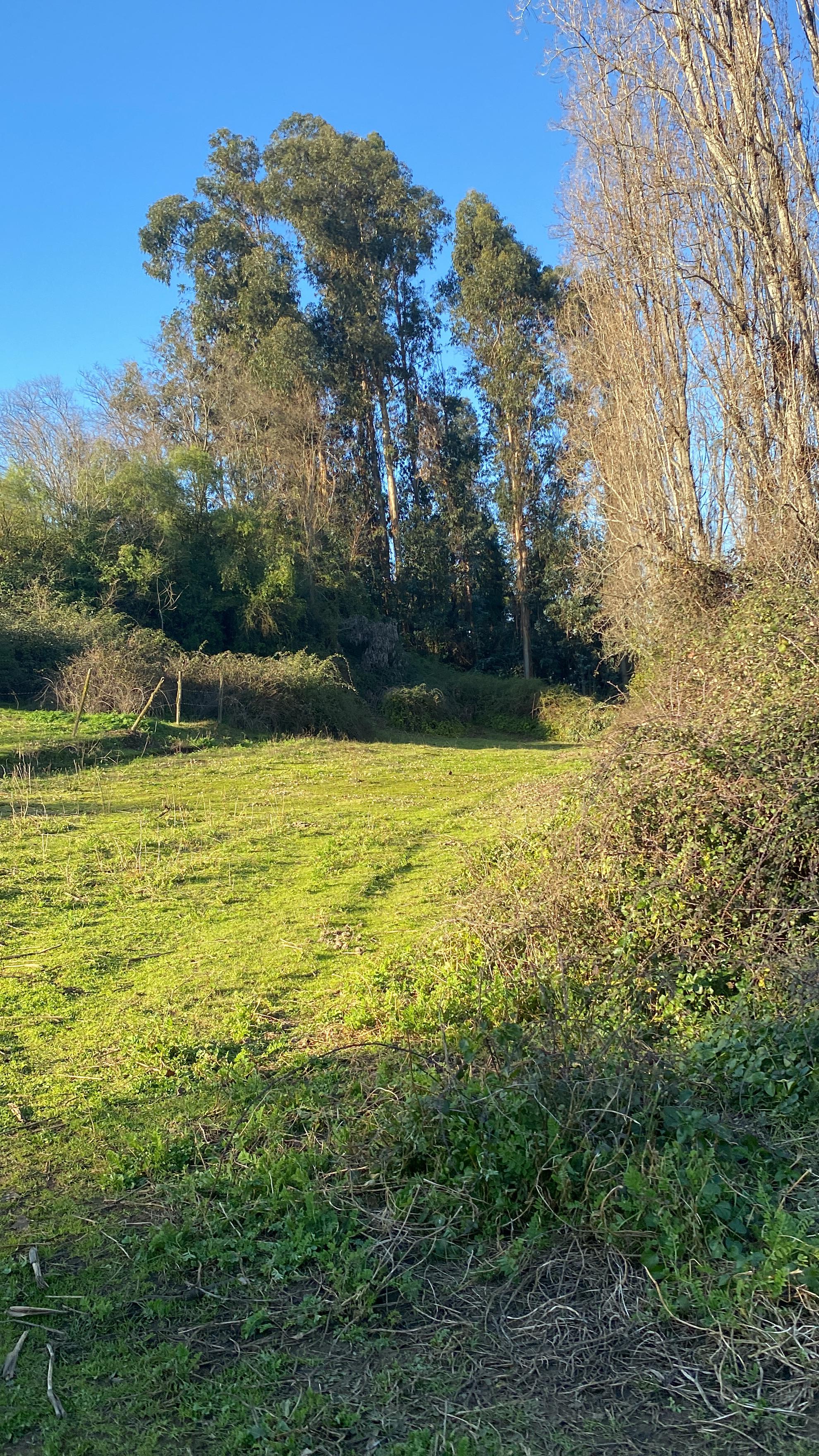 Se Vende Hermosa Parcela en los Robles, Cumpeo!!!!