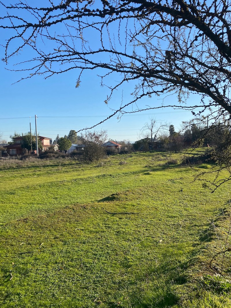 Se Vende Hermosa Parcela en los Robles, Cumpeo!!!!