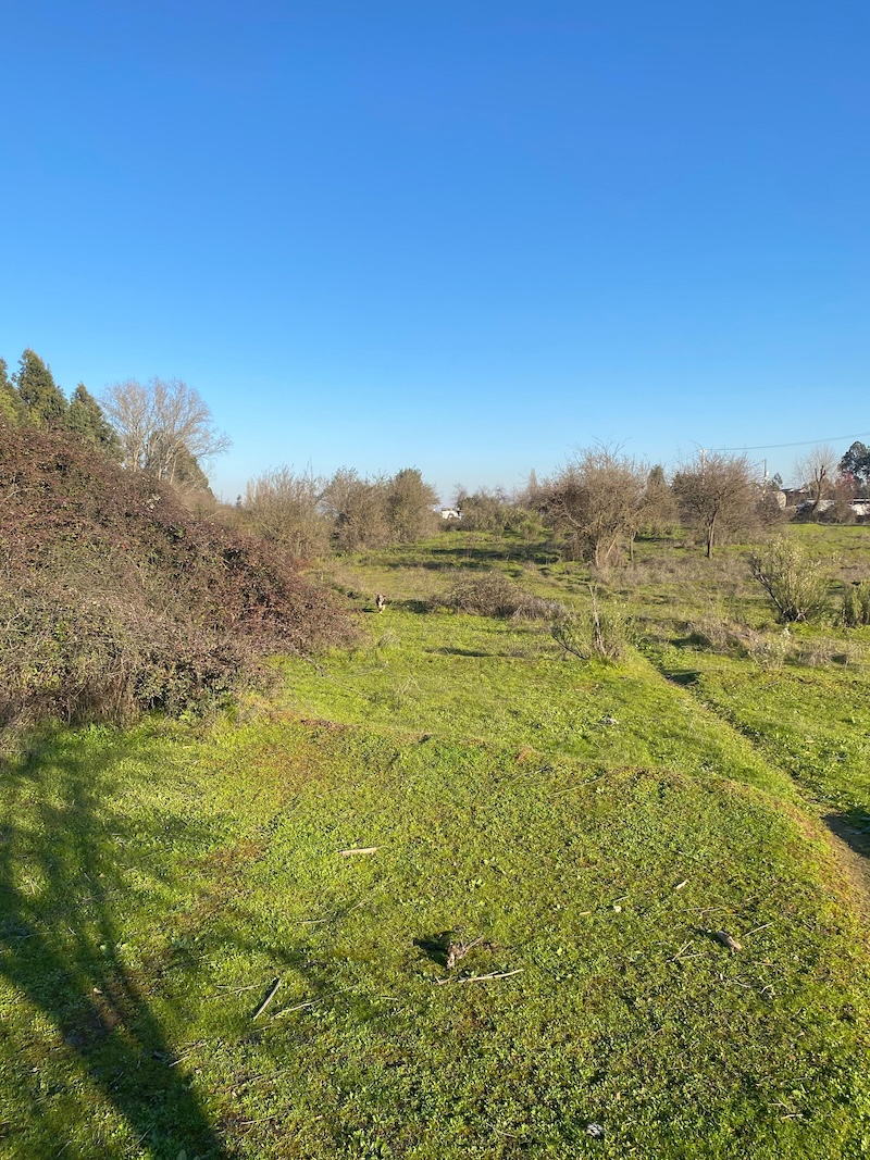 Se Vende Hermosa Parcela en los Robles, Cumpeo!!!!