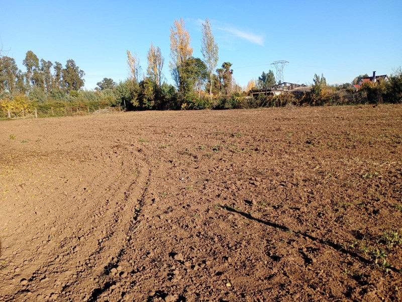 Se Venden Terrenos Urbanos en Aurora de San Clemente