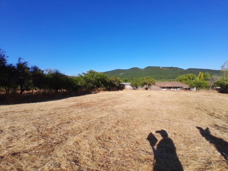 Terreno Sector Lo Figueroa