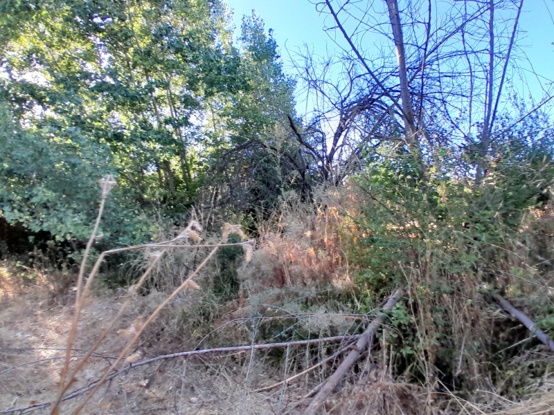Terreno Sector Lo Figueroa
