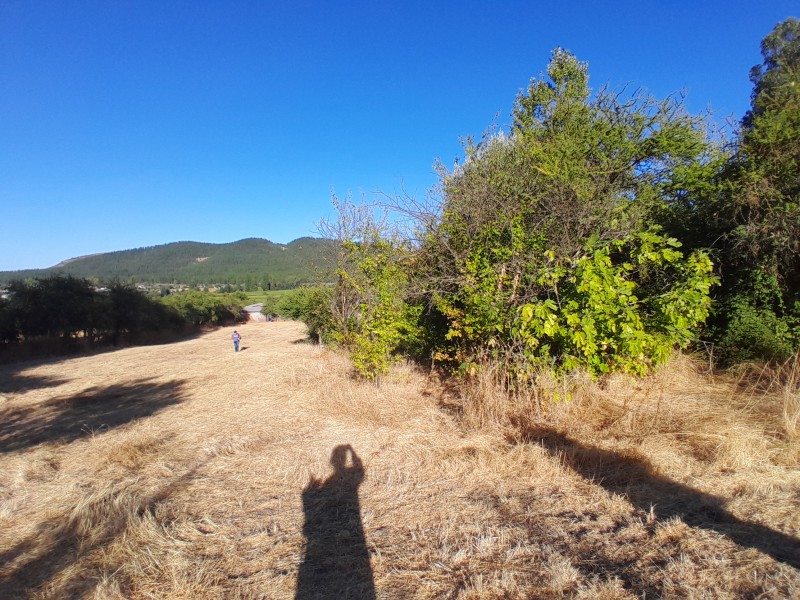 Terreno Sector Lo Figueroa
