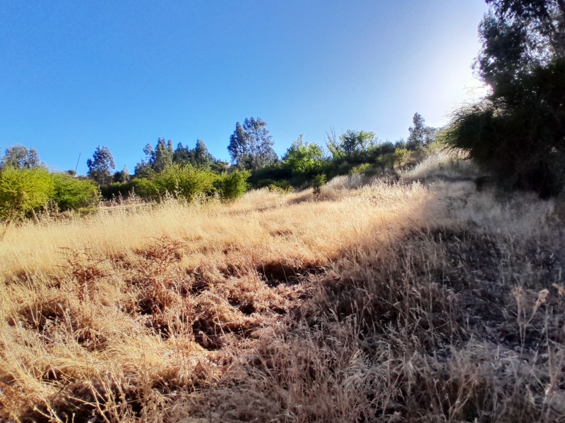 Terreno Sector Lo Figueroa