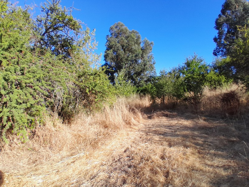 Terreno Sector Lo Figueroa